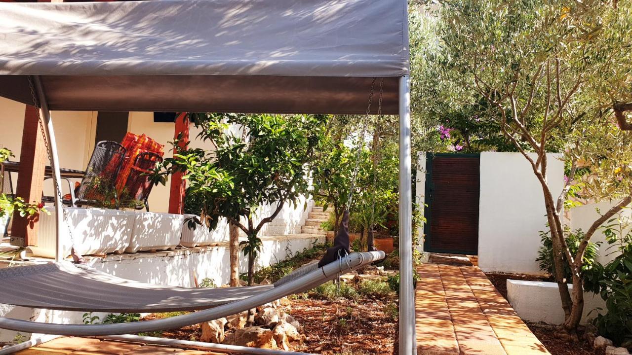 스타리 그라드 House Oliva With Private Pool And Large Garden 빌라 외부 사진